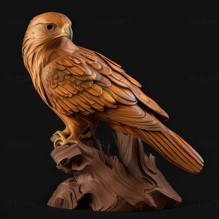 3D модель Buteo albigula (STL)